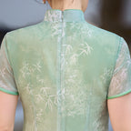 Sage Green Bamboo Long Ao Dai-Inspired Qipao Dress